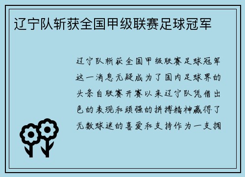 辽宁队斩获全国甲级联赛足球冠军